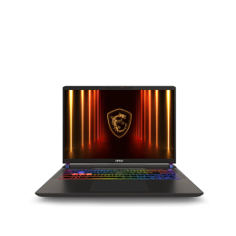 MSI Vector 16 Intel Core Ultra 9 275HX RTX 5070 Ti IPS 16 ГБ 1 ТБ Серый