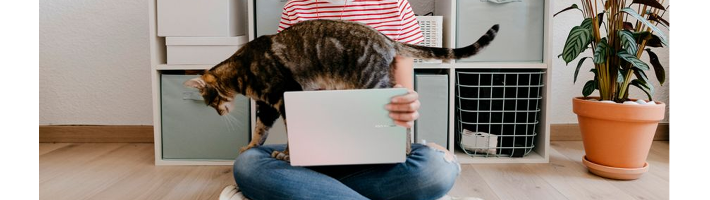 Компания ASUS представила ноутбуки Vivobook 14, Vivobook 16 и Vivobook 18 на базе AMD Ryzen AI 7 445