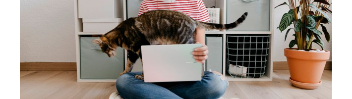 Компания ASUS представила ноутбуки Vivobook 14, Vivobook 16 и Vivobook 18 на базе AMD Ryzen AI 7 445