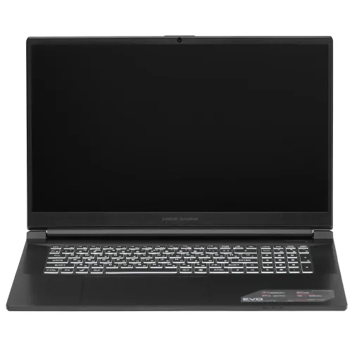 17.3" Ноутбук ARDOR Gaming EVO E17-I7ND402 черный