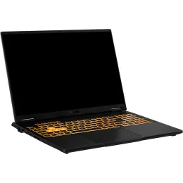 16" Ноутбук ASUS TUF Gaming F16 FX608JHR-RV140 серый