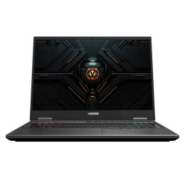 Игровой ноутбук Hasee Ares T9 Pro, 16'', 16Гб/1Тб, Intel Core i7-14700HX, RTX5070, серебристый, Русская раскладка, Windows 11