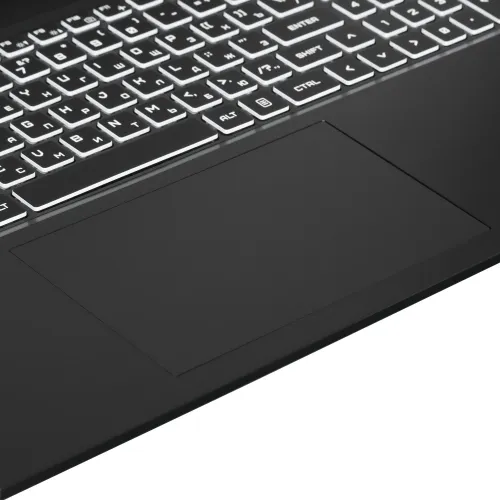 17.3" Ноутбук ARDOR Gaming EVO E17-I7ND402 черный