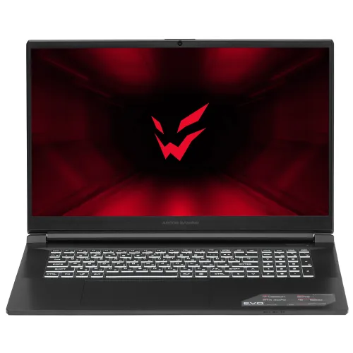 17.3" Ноутбук ARDOR Gaming EVO E17-I7ND402 черный