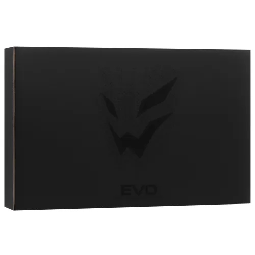 17.3" Ноутбук ARDOR Gaming EVO E17-I7ND402 черный