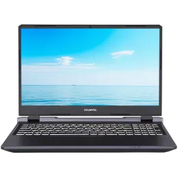 15.6" Ноутбук Colorful EVOL P15 24 серый