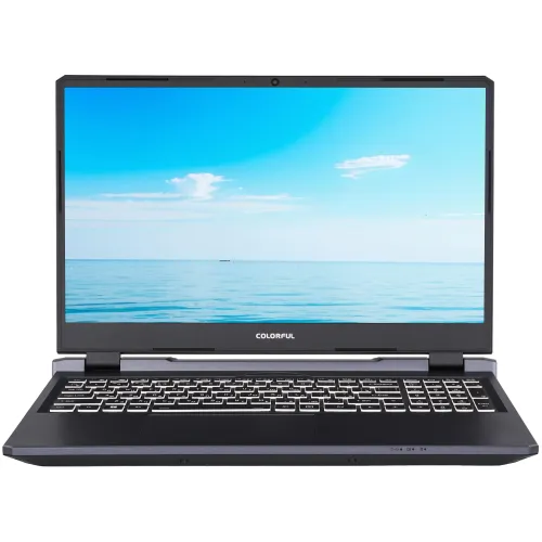 15.6" Ноутбук Colorful EVOL P15 24 серый