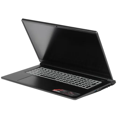 17.3" Ноутбук ARDOR Gaming RAGE R17-I7ND405 черный