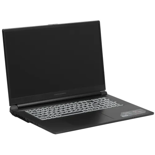 17.3" Ноутбук ARDOR Gaming EVO E17-I7ND402 черный