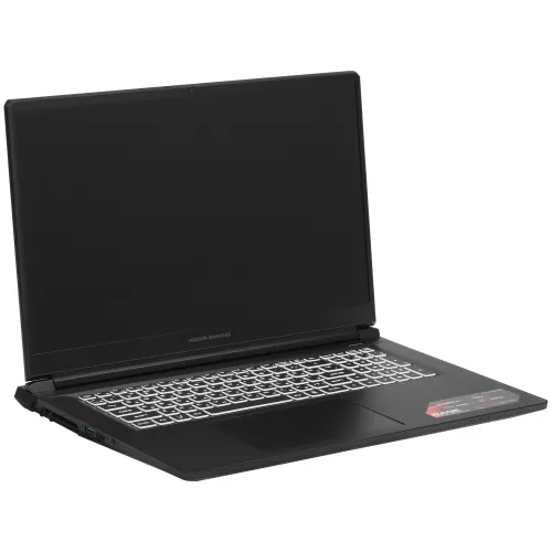 17.3" Ноутбук ARDOR Gaming RAGE R17-I7ND405 черный