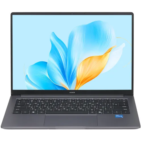 14" Ноутбук Honor MagicBook X14 2025 5301ALWJ/FRG-X серый