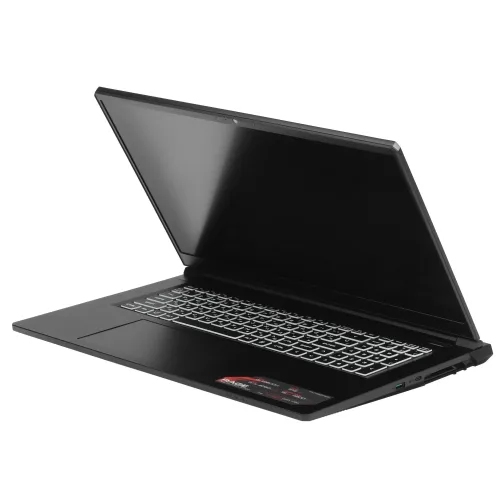 17.3" Ноутбук ARDOR Gaming RAGE R17-I5ND403 черный