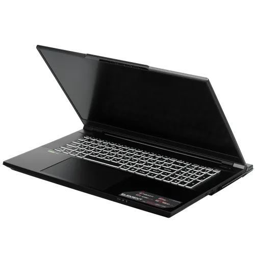17.3" Ноутбук ARDOR Gaming ELEMENT L17-I9ND400 черный