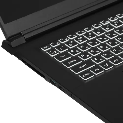 17.3" Ноутбук ARDOR Gaming RAGE R17-I7ND404 черный