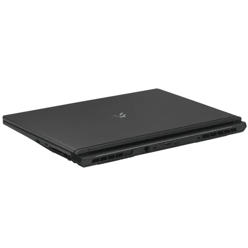 17.3" Ноутбук ARDOR Gaming RAGE R17-I5ND403 черный