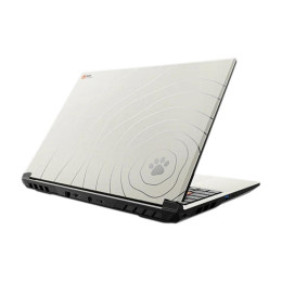 Игровой ноутбук Colorfire Meow R16 Pro, 16", 16ГБ/1ТБ, R9-7845HX, RTX5070, белый, Русская раскладка, Windows 11