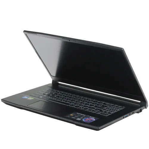 17.3" Ноутбук MSI Katana 17 B13VEK-1088XRU черный
