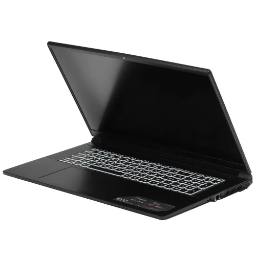 17.3" Ноутбук ARDOR Gaming EVO E17-I7ND402 черный