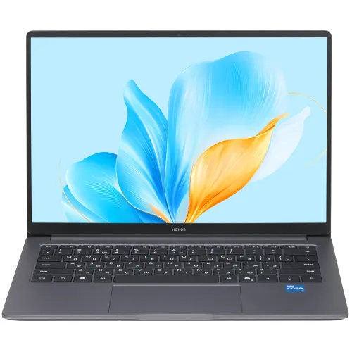 14" Ноутбук Honor MagicBook X14 2025 5301ALWG/FRG-X серый
