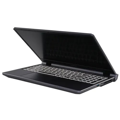 15.6" Ноутбук Colorful EVOL P15 24 серый