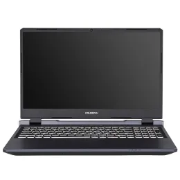 15.6" Ноутбук Colorful EVOL P15 24 серый