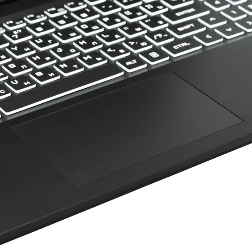 15.6" Ноутбук ARDOR GAMING NEO N15-I5ND412 черный