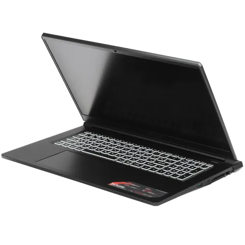 17.3" Ноутбук ARDOR Gaming RAGE R17-I7ND404 черный