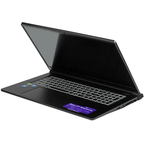 17.3" Ноутбук Machenike Star 17 Neptune серый