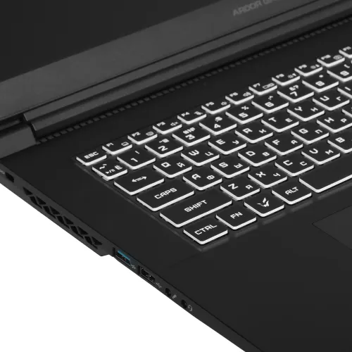 17.3" Ноутбук ARDOR GAMING NEO N17-I5ND403 черный