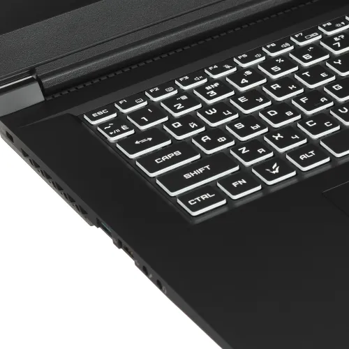 17.3" Ноутбук ARDOR GAMING NEO N17-I5ND414 черный