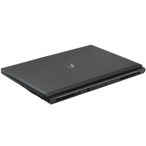 17.3" Ноутбук ARDOR GAMING RAGE R17-I5ND413 черный