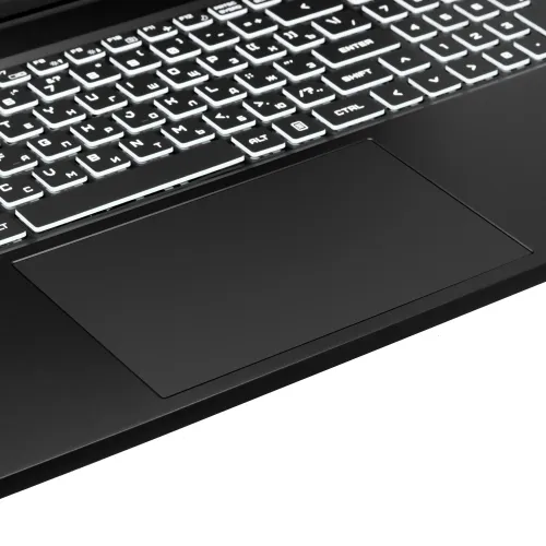 17.3" Ноутбук ARDOR Gaming ELEMENT L17-I9ND400 черный