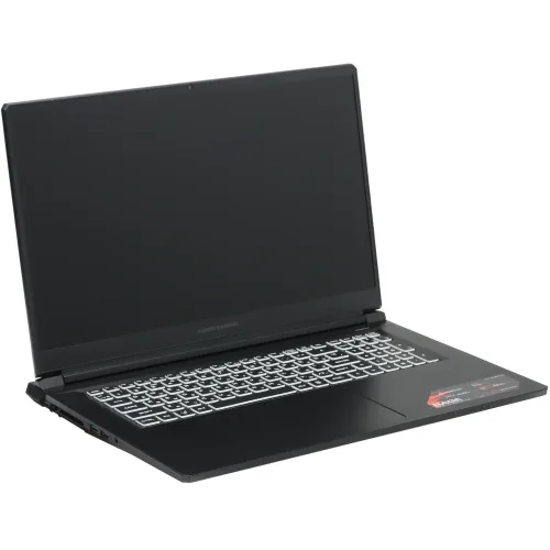 17.3" Ноутбук ARDOR GAMING RAGE R17-I5ND413 черный